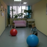 ���� ������ 2012